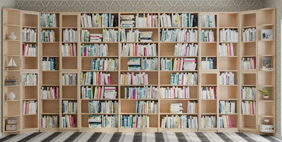 Шкаф библиотечный, ШБ