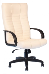 Ergonomic Office Chair KR 01.00.35