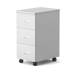 Mobile Cabinet TM - Versatile Storage Solution