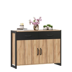 Combined Cabinet in Golden Oak/Black - Techno LD.678210.000