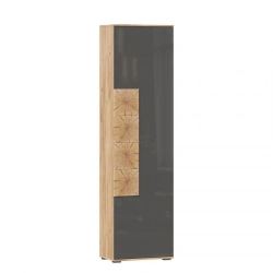 Fiji LD.659300.000 M Single Door Cabinet (Golden Oak/Anthracite)