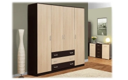 Versatile Storage Cabinet for Home and Office