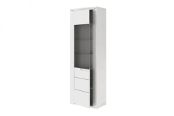Bree TYP 01 Single Door Cabinet (Glossy White with Tinted Glass)