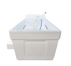 Golfstream Hydrotherapy Bath with Aeromassage and Chromotherapy - PDM/A18/X