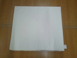 Medical Mattress for Changing Tables MMP-01 Classic